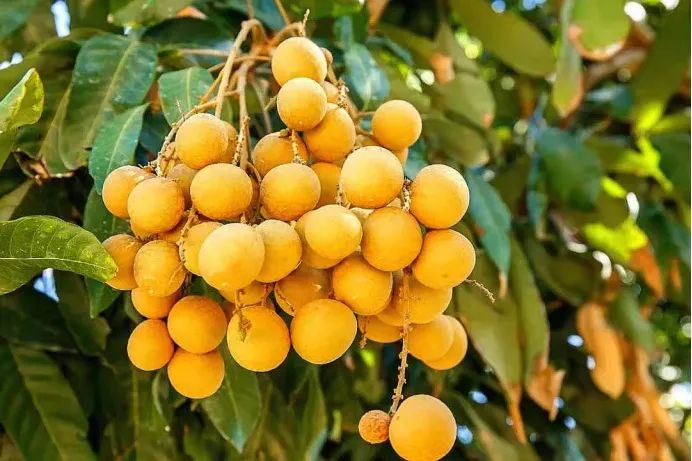 1649857362926569.png 图片