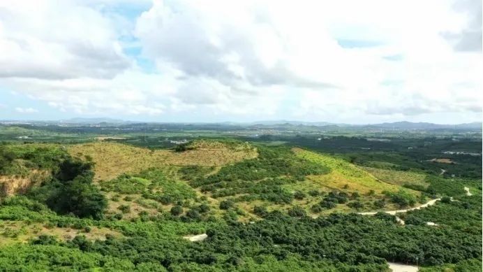 1649857277387163.png 图片