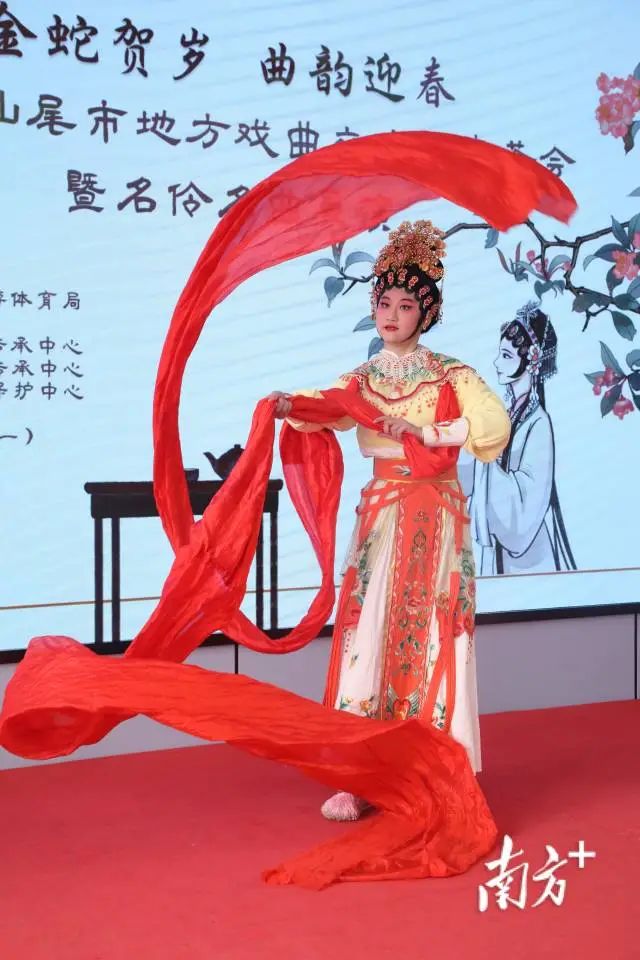 南方 陈保良 拍摄